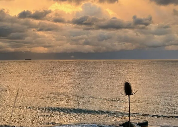 Frida Am فيهمارن